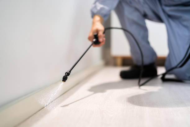 Rodent Entry Point Assessment in Northglenn