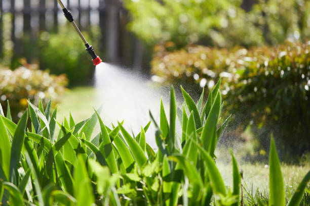 Tamper-Resistant Bait Stations for Rodents in Northglenn