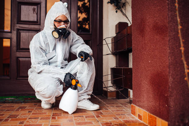 Attic and Crawl Space Rodent Treatment in Northglenn